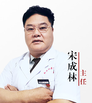 宋成林